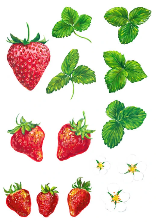 Strawberry packaging